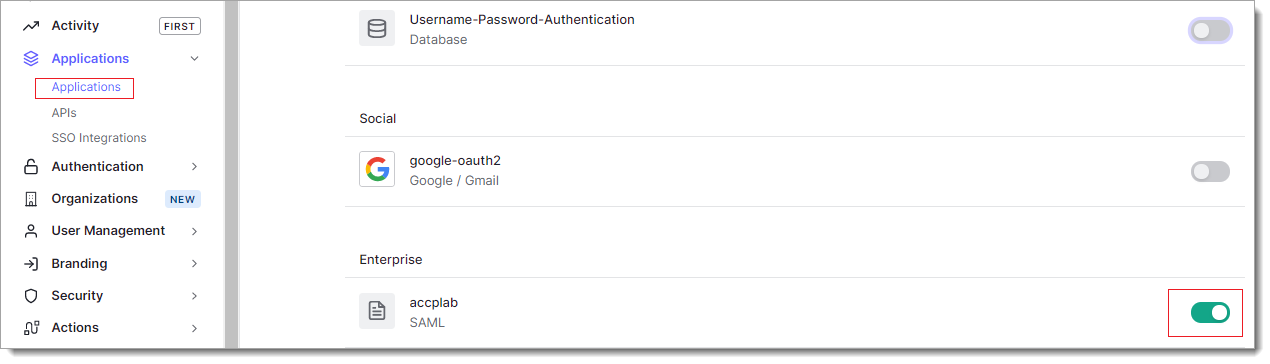 Auth0 connections tab